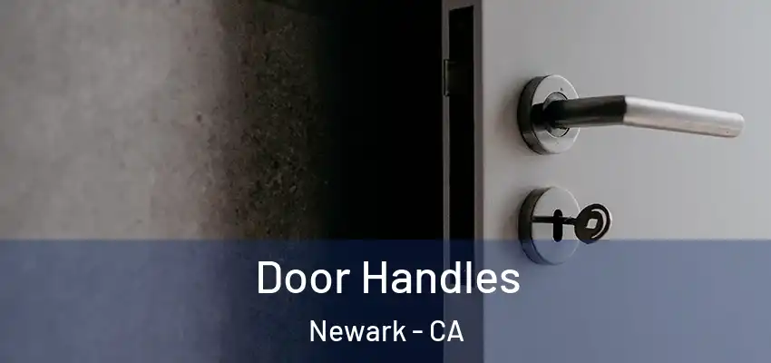  Door Handles Newark - CA