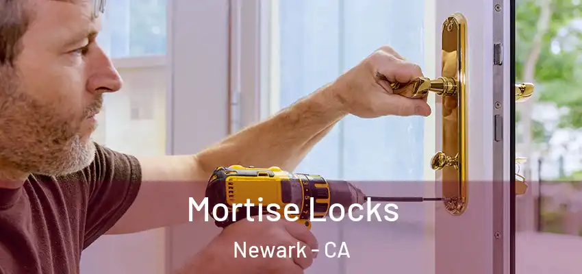  Mortise Locks Newark - CA